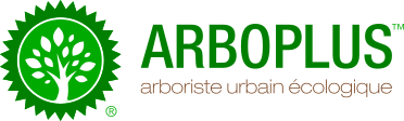 Arboplus, entreprise d'émondage à Sherbrooke